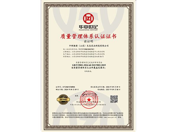 質(zhì)量管理體系認證證書